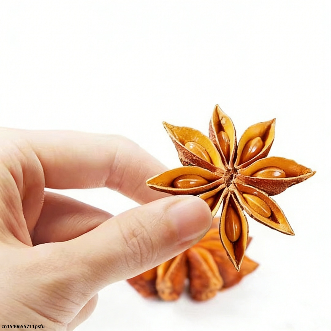 Premium Star Anise Dried Flowe – Candle Fragrance Supplies Bewertung und Preis