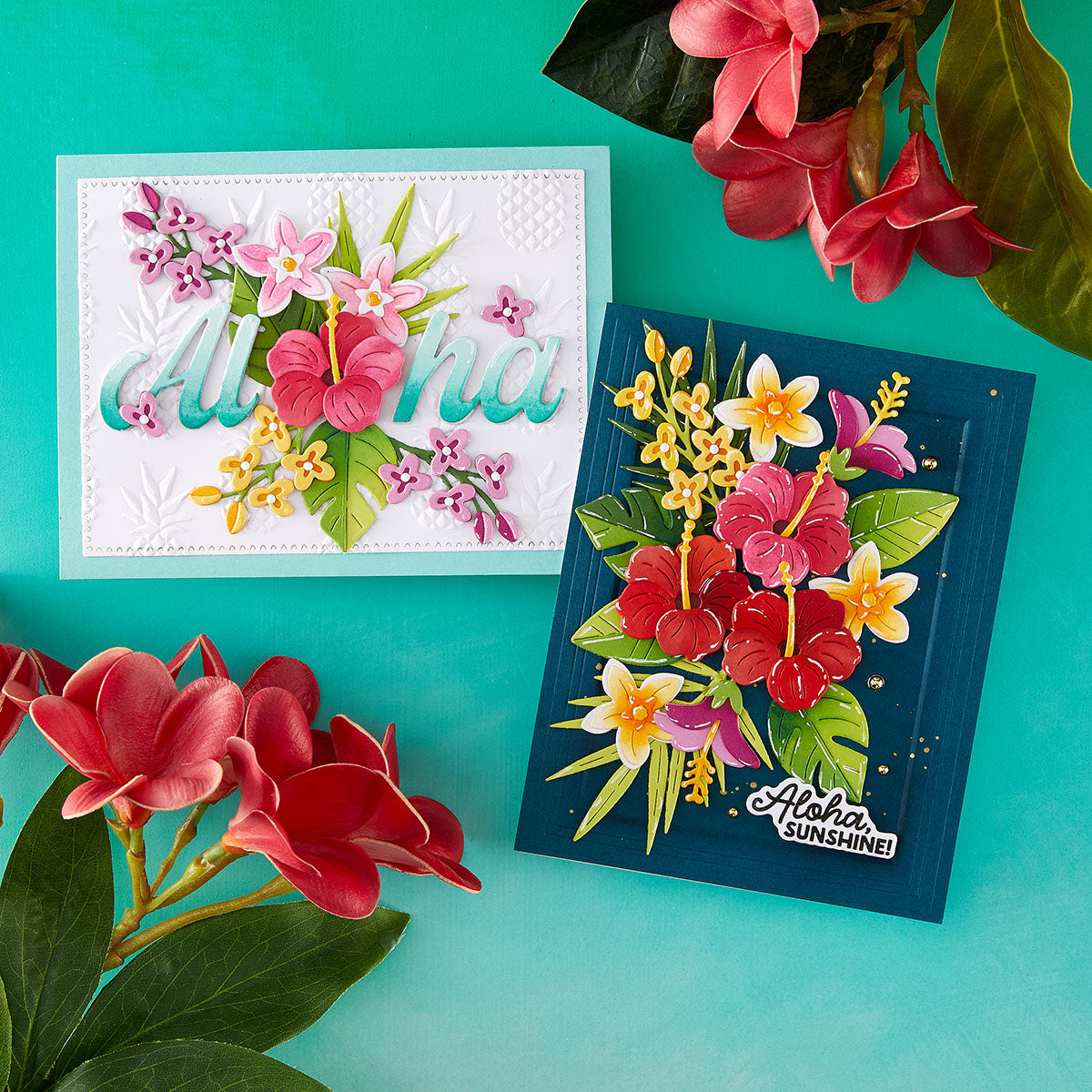 June New Sea Turtle and Tropic – Candle Sachet Bewertung und Preis