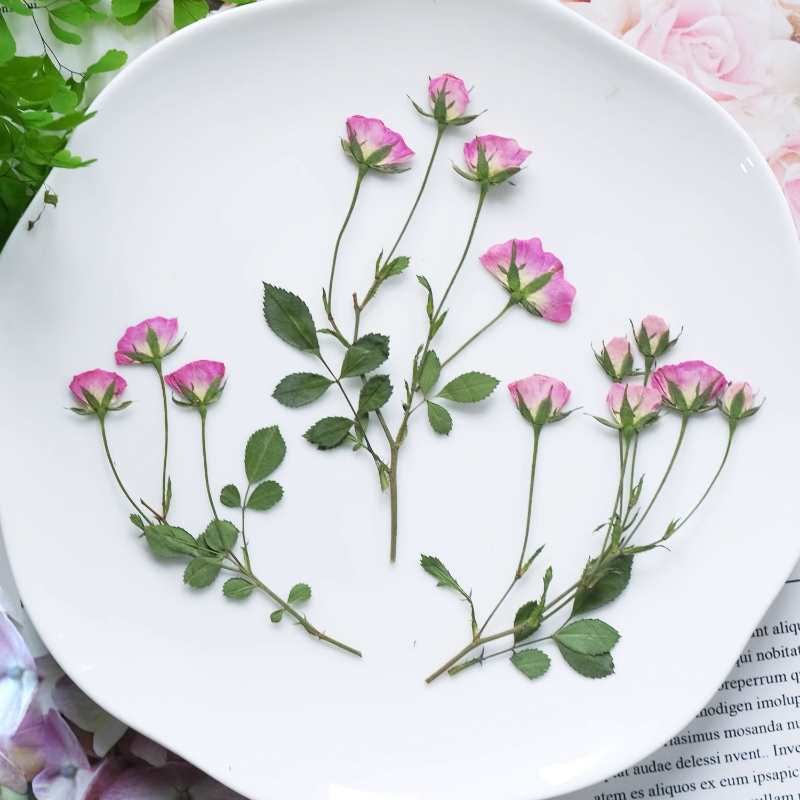 12pcs,Mini Pink Rose Pressed F – Candle For Supplies Bewertung und Preis