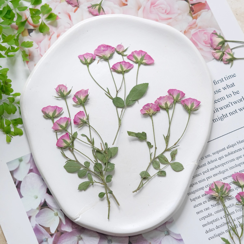 12pcs,Mini Pink Rose Pressed F – Candle For Supplies Bewertung und Preis